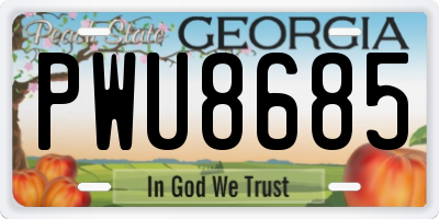 GA license plate PWU8685