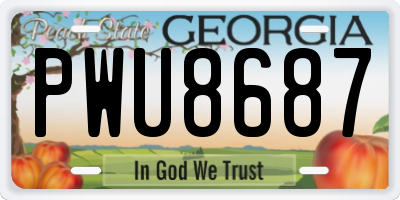 GA license plate PWU8687