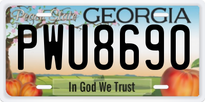 GA license plate PWU8690