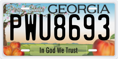GA license plate PWU8693