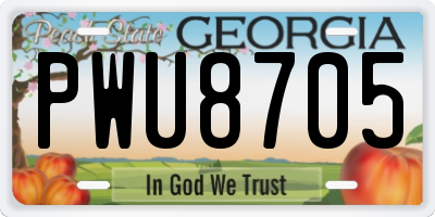 GA license plate PWU8705