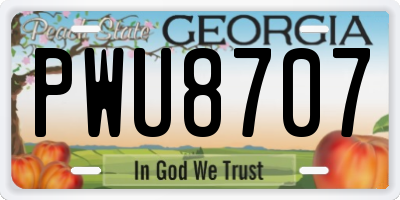 GA license plate PWU8707
