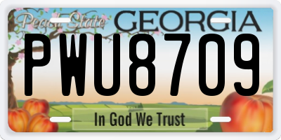 GA license plate PWU8709