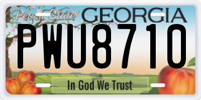 GA license plate PWU8710
