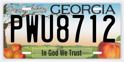 GA license plate PWU8712