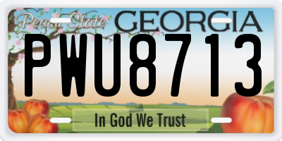 GA license plate PWU8713