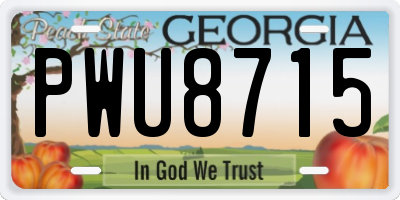 GA license plate PWU8715