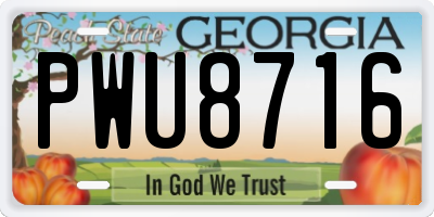 GA license plate PWU8716