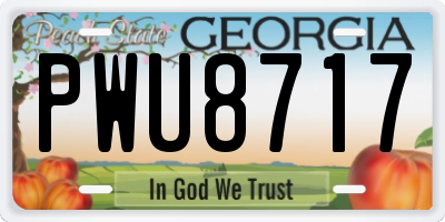 GA license plate PWU8717