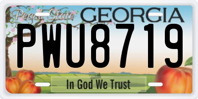 GA license plate PWU8719
