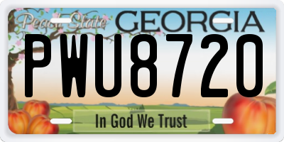 GA license plate PWU8720
