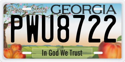 GA license plate PWU8722