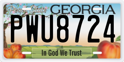 GA license plate PWU8724
