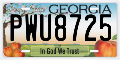 GA license plate PWU8725