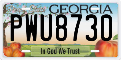 GA license plate PWU8730