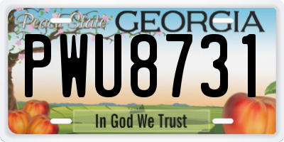 GA license plate PWU8731