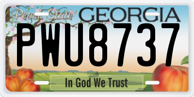 GA license plate PWU8737