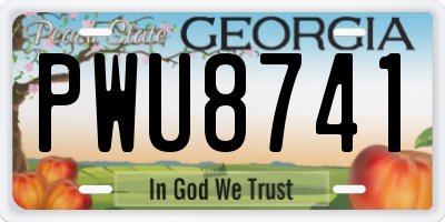GA license plate PWU8741