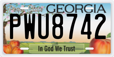 GA license plate PWU8742