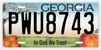 GA license plate PWU8743