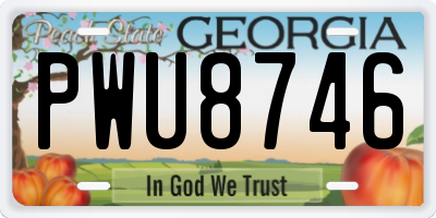 GA license plate PWU8746
