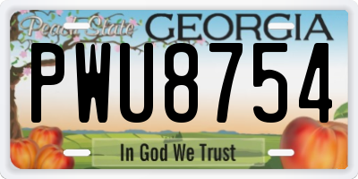 GA license plate PWU8754