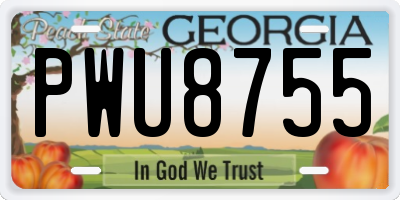 GA license plate PWU8755