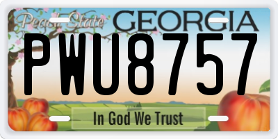 GA license plate PWU8757