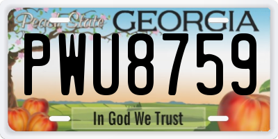 GA license plate PWU8759