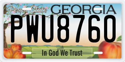 GA license plate PWU8760