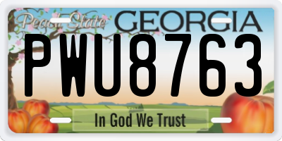 GA license plate PWU8763