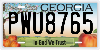 GA license plate PWU8765