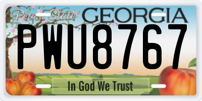 GA license plate PWU8767