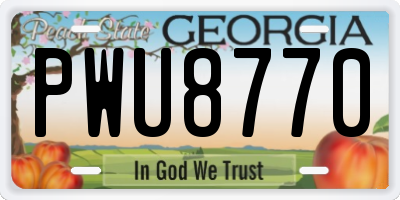GA license plate PWU8770