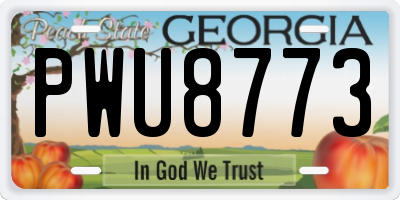 GA license plate PWU8773