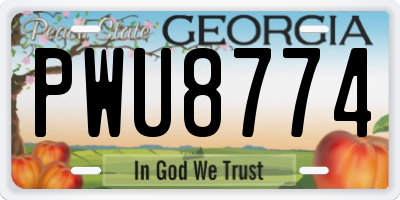 GA license plate PWU8774