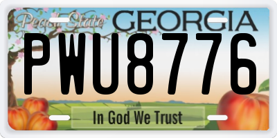 GA license plate PWU8776