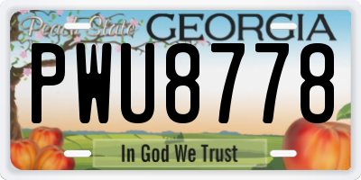 GA license plate PWU8778