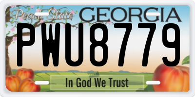 GA license plate PWU8779