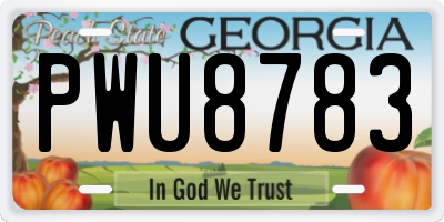 GA license plate PWU8783