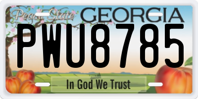 GA license plate PWU8785