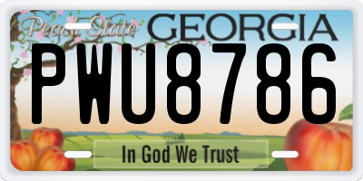 GA license plate PWU8786