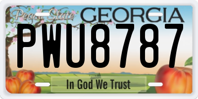 GA license plate PWU8787