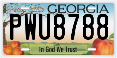 GA license plate PWU8788
