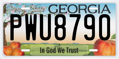 GA license plate PWU8790