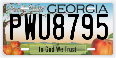 GA license plate PWU8795