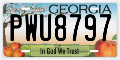 GA license plate PWU8797