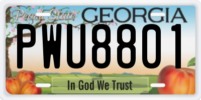 GA license plate PWU8801