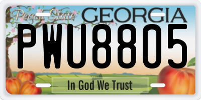 GA license plate PWU8805