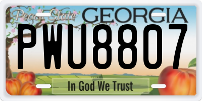 GA license plate PWU8807